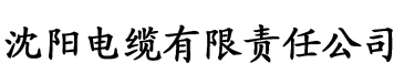 狂欢视频在线观看不卡电缆厂logo